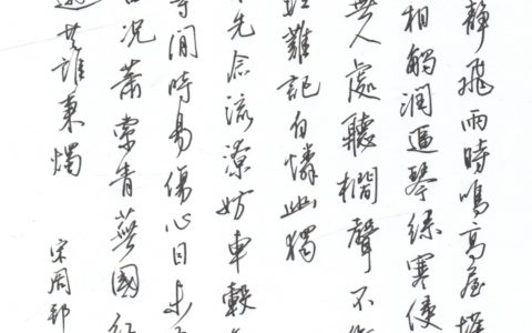 周邦彦《春雨》钢笔字练字打卡作业欣赏