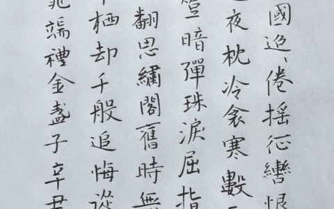 写草书越来越多了，晁端礼《金盏子》钢笔字练字打卡作业欣赏