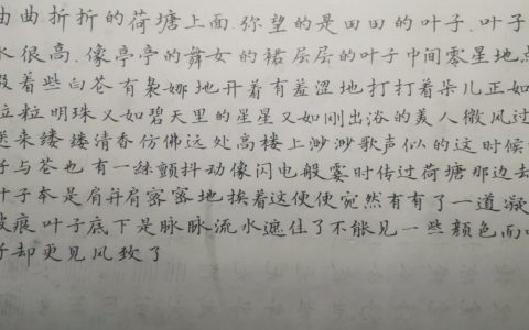 朱自清《荷塘月色》选段钢笔字练字打卡作业欣赏