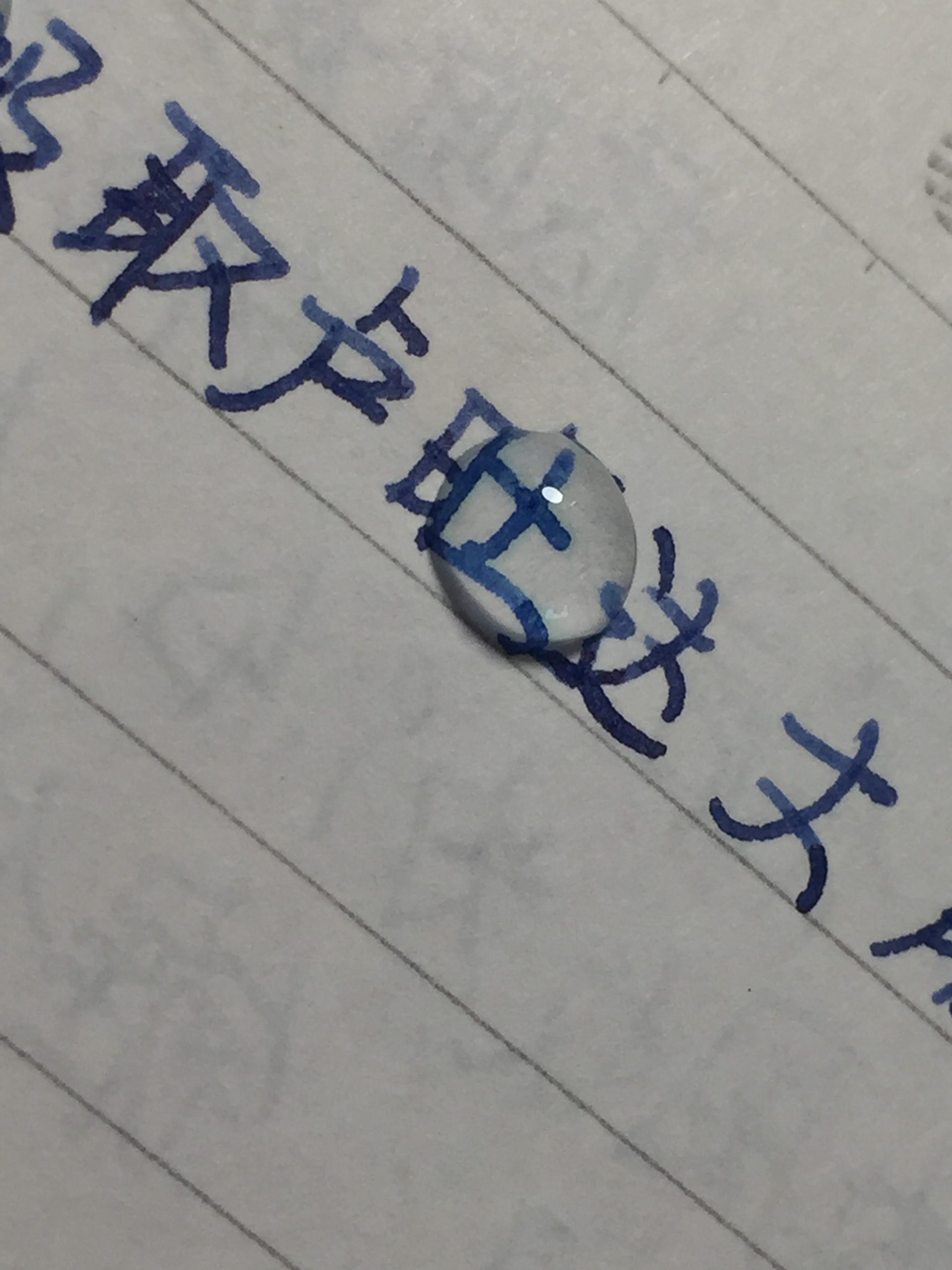 7B707536-DB7B-4A6B-BB87-C133793A5580