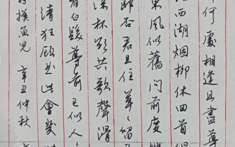 刘辰翁《摸鱼儿》每周一篇钢笔字练字打卡作业欣赏