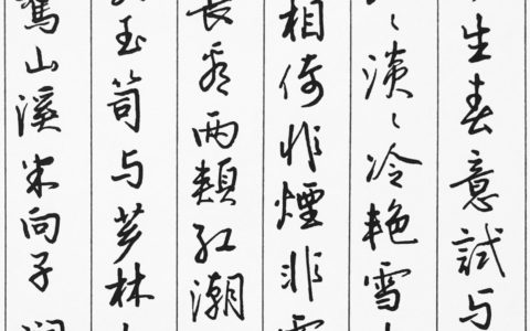 粉丝点评：向子諲《蓦山溪》钢笔字练字打卡作业欣赏