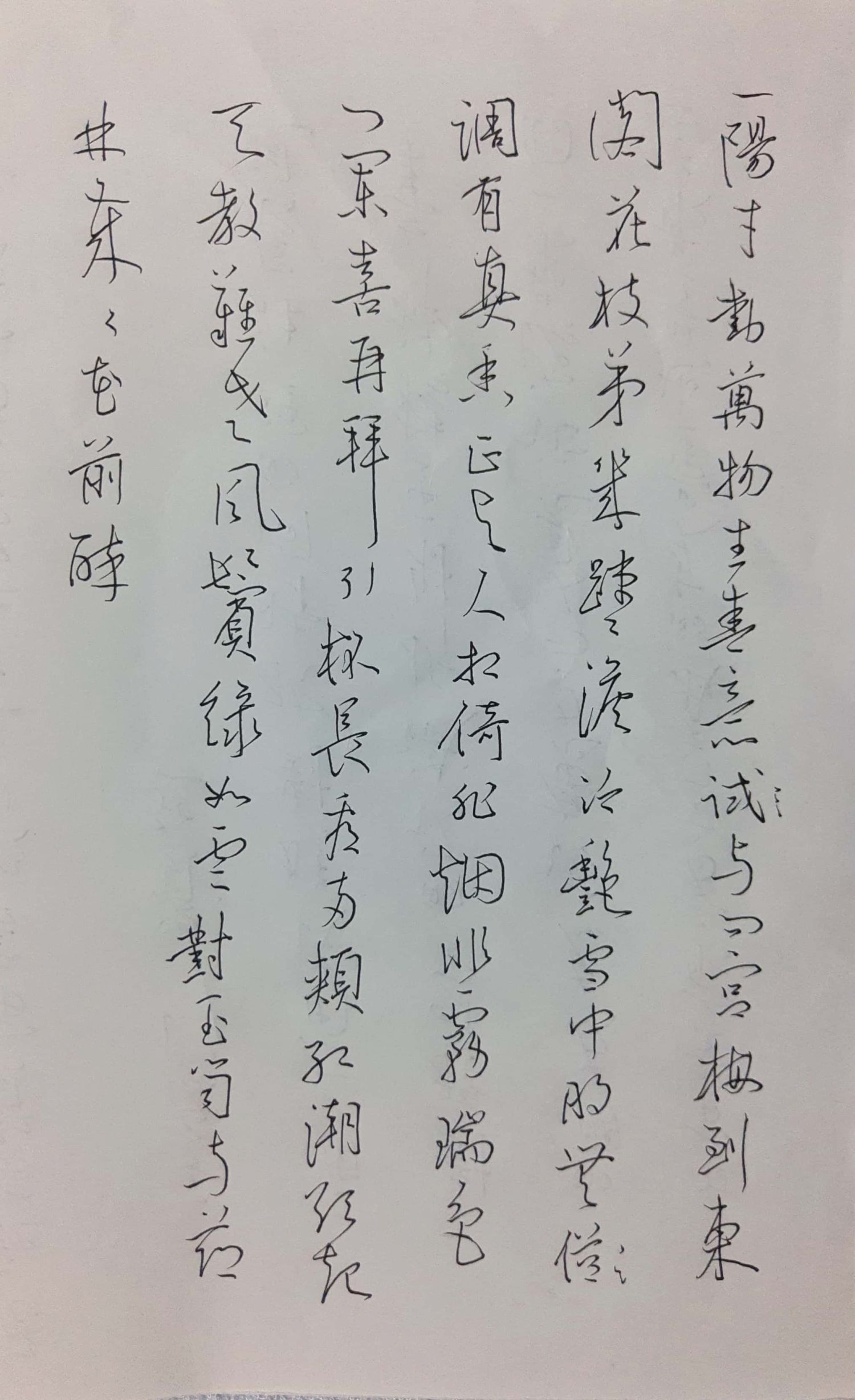 钢笔练字打卡211116-04