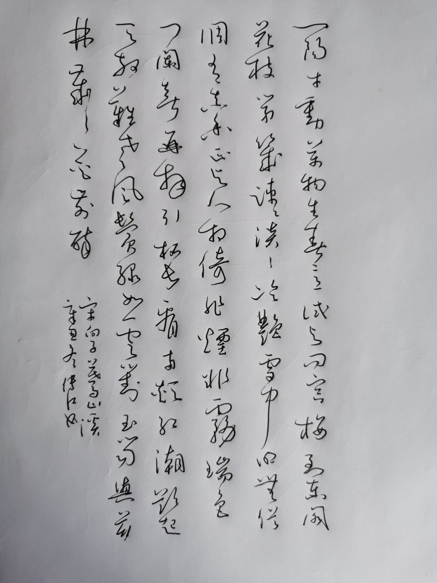 钢笔练字打卡211116-02