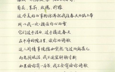 Evan Li 点评余秀华诗词《我爱你》钢笔字练字打卡作业欣赏