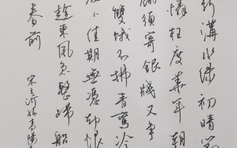 润林点评：王沂孙《高阳台》钢笔字练字打卡作业欣赏