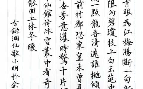 晁补之《洞仙歌》2022农历年的第一期钢笔字练字打卡作业欣赏