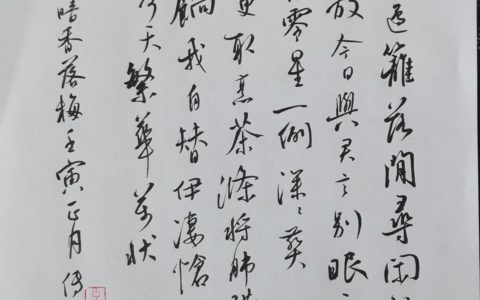 高燮《暗香》钢笔字练字打卡作业欣赏