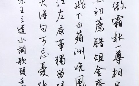 整整40幅，王之道《水调歌头》钢笔字练字打卡作业欣赏