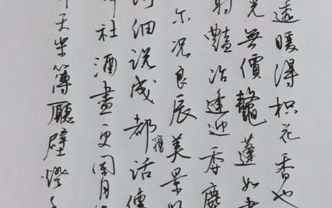 本期35幅作品上榜，赵必豫《齐天乐》钢笔字练字打卡作业欣赏