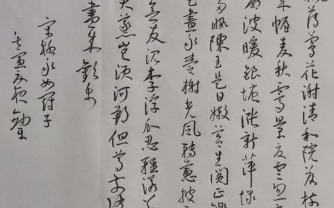 32篇上榜，柳永《女冠子》钢笔字练字打卡作业欣赏