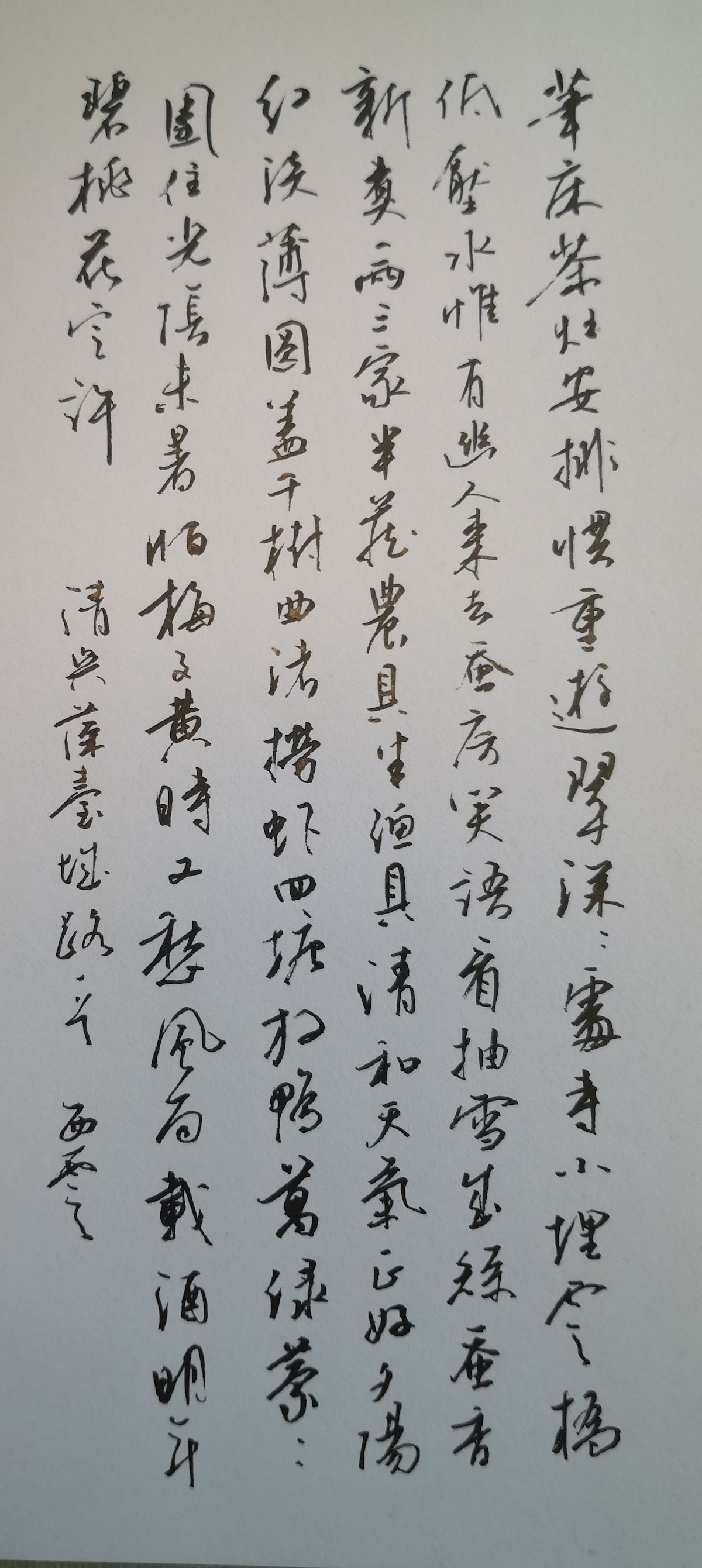 练字打卡32周-08