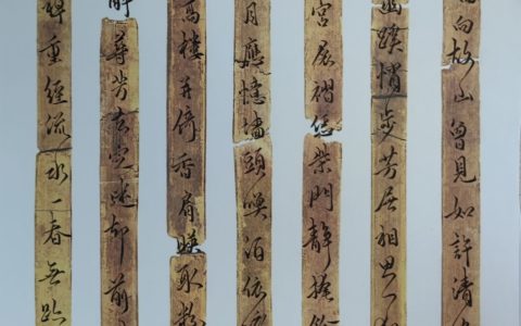 本期30幅作品上榜，清代陈方恪《疏影》钢笔练字打卡作业欣赏