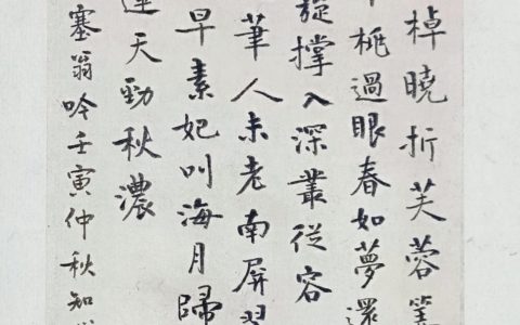 打卡作业挑选过程揭秘，吴文英《塞翁吟》钢笔字练字打卡作业欣赏