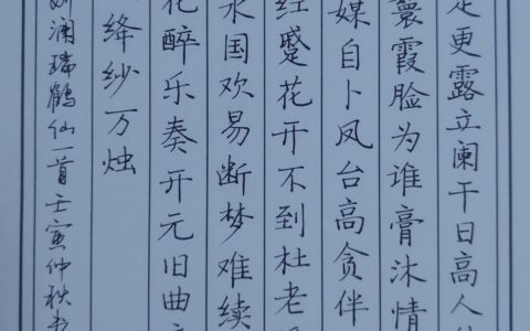 本期26篇作业上榜，刘澜《瑞鹤仙》钢笔字练字打卡作业欣赏