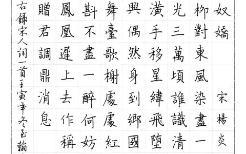 本周26篇上榜，杨炎正《念奴娇》钢笔字练字打卡作业欣赏