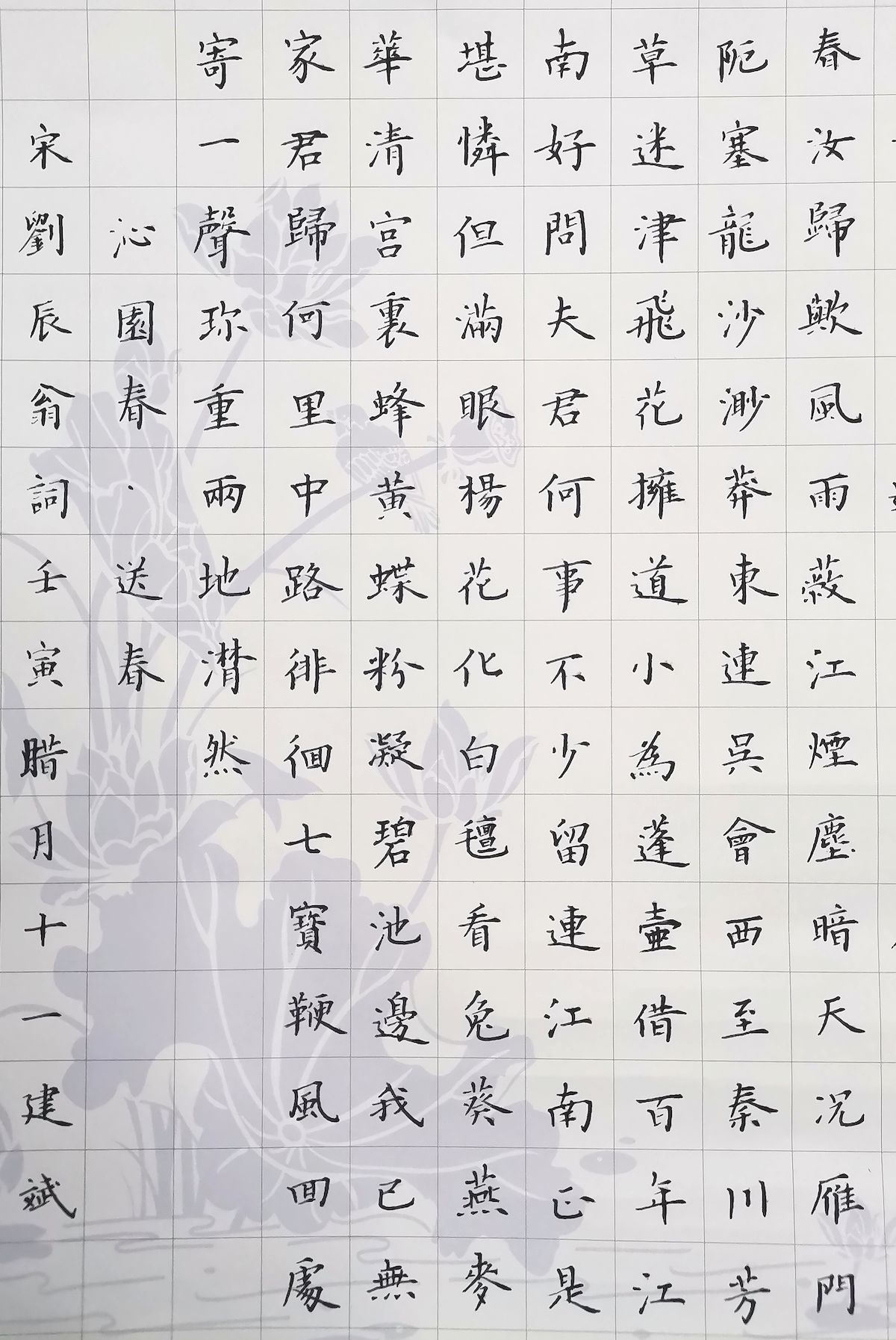 练字打卡52期-23