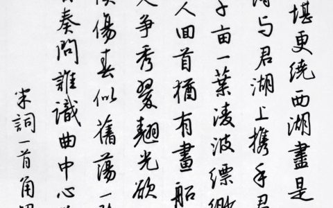本周20篇作品上榜，姜夔《角招》钢笔字练字打卡作业欣赏