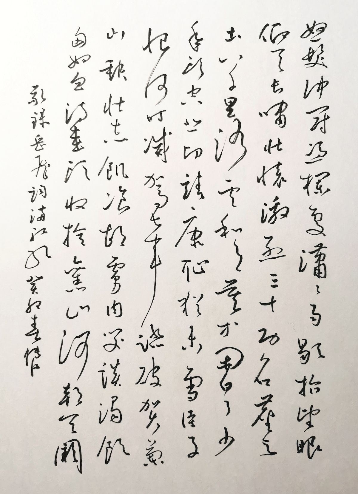 练字打卡2305期-12