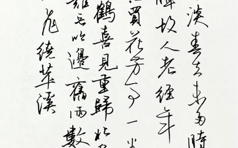 本周30篇作品上榜，李彭老《一萼红》钢笔字练字打卡作业欣赏
