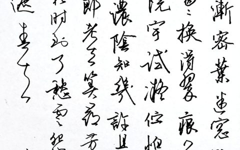 本周27篇作品上榜，王沂孙《扫花游》每周一次钢笔字练字打卡作业欣赏