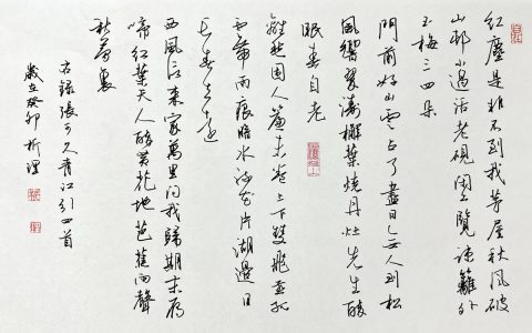 张可久《双调·青江引》钢笔字练字打卡作业欣赏