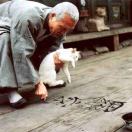 远西森林的头像