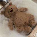 🐻的头像