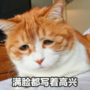 anthy的头像