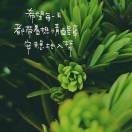 宋杨的头像