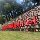 陈立青的头像