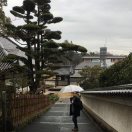 刘捷.quicker的头像