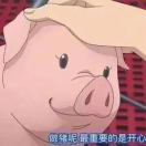 Freedom的头像