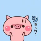 刘心霖的头像