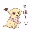 赵若喜的头像