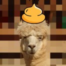 qwertyuiop的头像