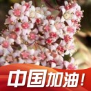 王莉的头像