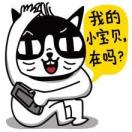 罗依茂的头像
