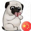 仲甫的头像