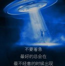 澍的头像